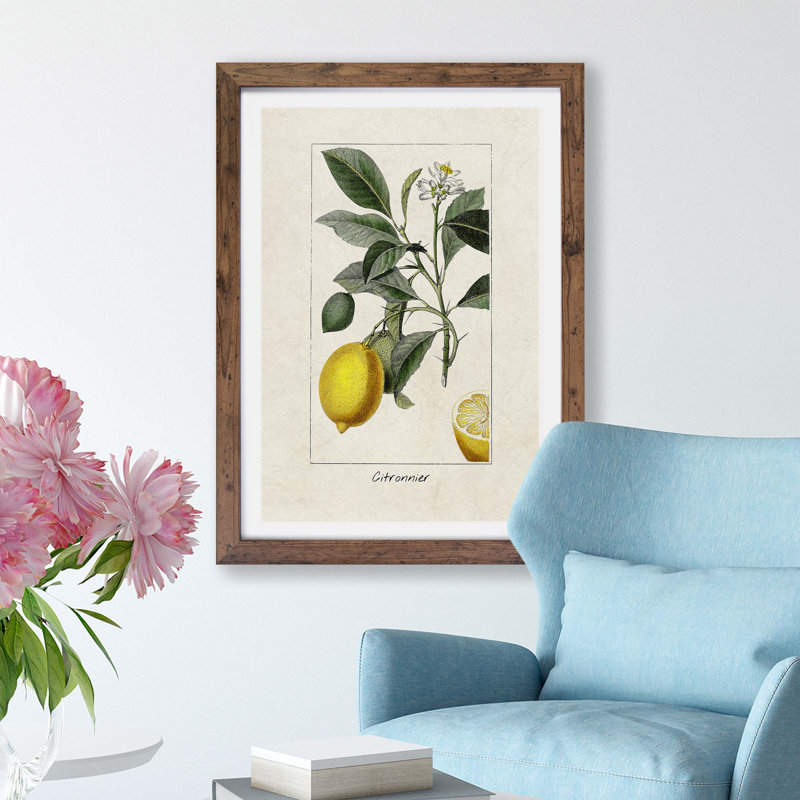 Illustration Of A Lemon Tree - Single Picture Frame Painting, 33cm H x 24cm W x 2cm D, Walnut Framed Paper