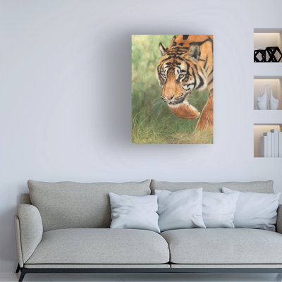 David Stribbling Tiger 8 Canvas Art