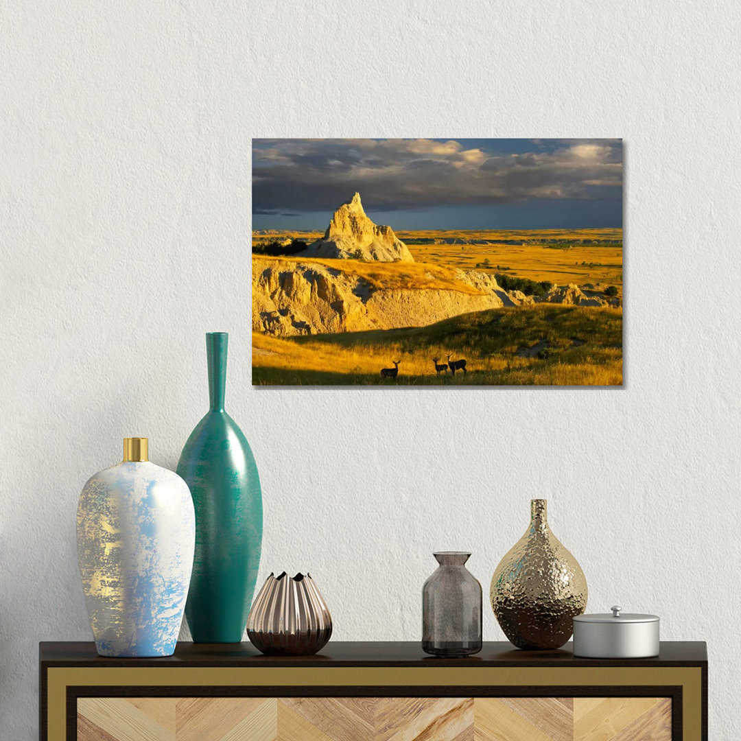 Mule Deer Trio In The Grasslands Of Badlands National Park, South Dakota von Tim Fitzharris - Gallery-Wrapped Canvas Gic...