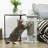 Scratching Post-92191311