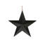 Décoration murale Mosier Star-766496327