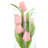 Tulips Arranged in a Glass Vase
