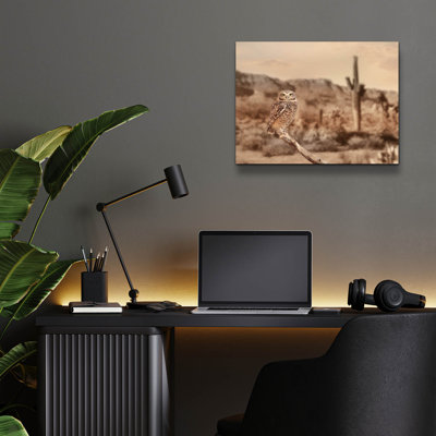 «Desert Owl» par Lori Deiter