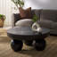 Hayliette Solid Wood Coffee Table-847882935
