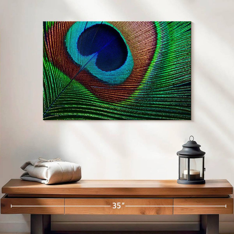 Fine Peacock Feather, 16" H x 24" W