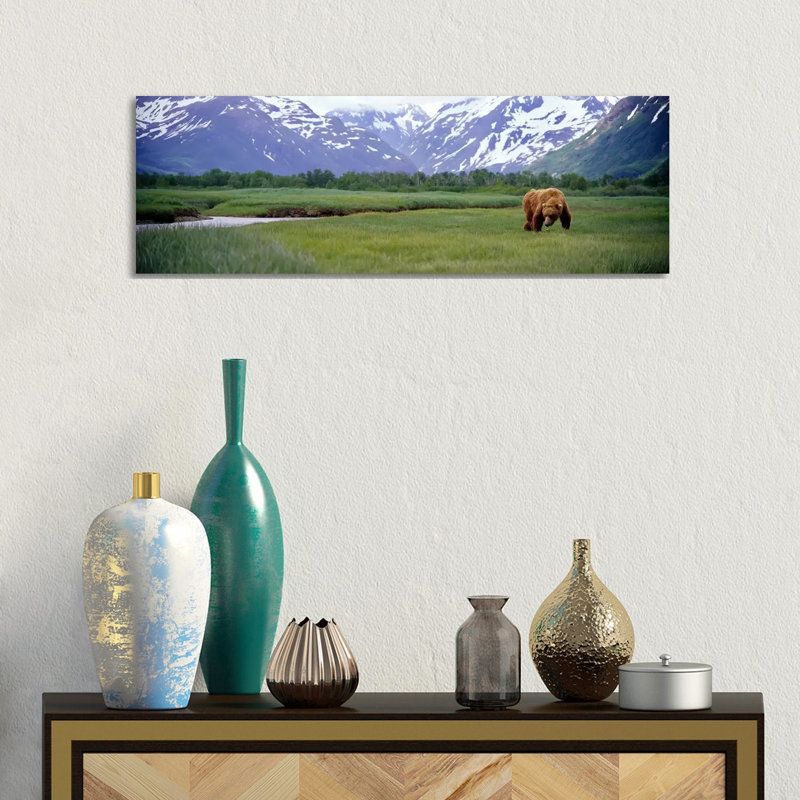 Grizzly Bear (Ursus Arctos Horribilis) Grazing in a Field, Kukak Bay 1 Piece Wrapped Canvas Panoramic Wall Art