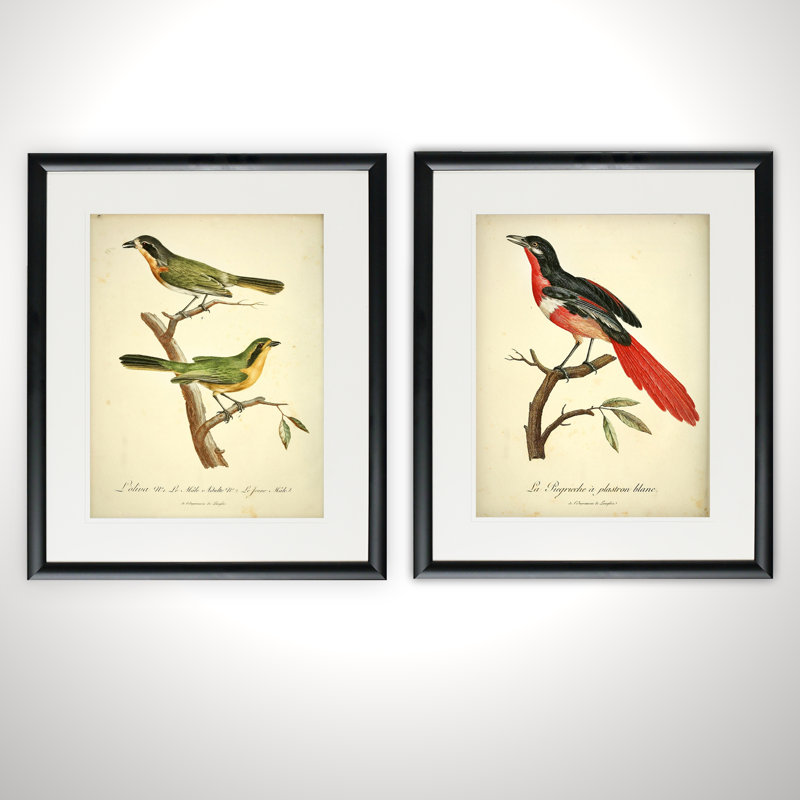 « volière pair », ensemble de 2 reproductions de peintures à l’acrylique encadrées, Cadre noir