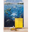 Nemo 1.84m x 254cm Wallpaper Roll