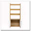 Bibliothèque échelle Furniture