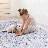 MAVAL Blue Washable Rug 2'6'' X 10' Runner Rug (Blue+Cream, 2'6'' X 10')-1756627687