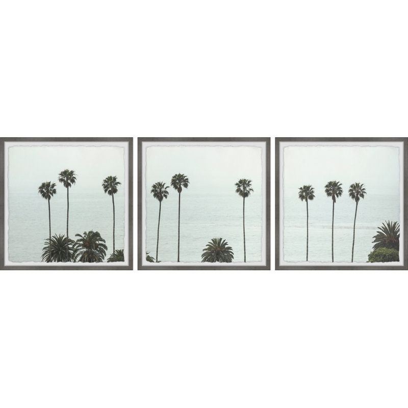 «Tall Coco Palm Trees» par Marmont Hill - ensemble de 3 photos encadrées, H 18 po x l 18 po