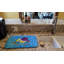 Tapis tropical pour le séchage des poissons