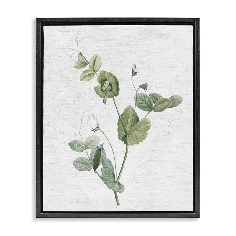 «Soft Country Botanical», art mural encadré flottant par lettres et lignes, Cadre flottant noir de jais, H 21 po x l 17 po