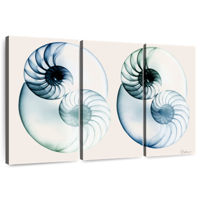 Aletra Split Breeze I