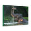 No Frame Print on Canvas