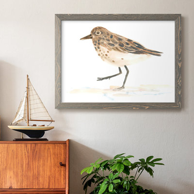 " Pretty Piper IV "