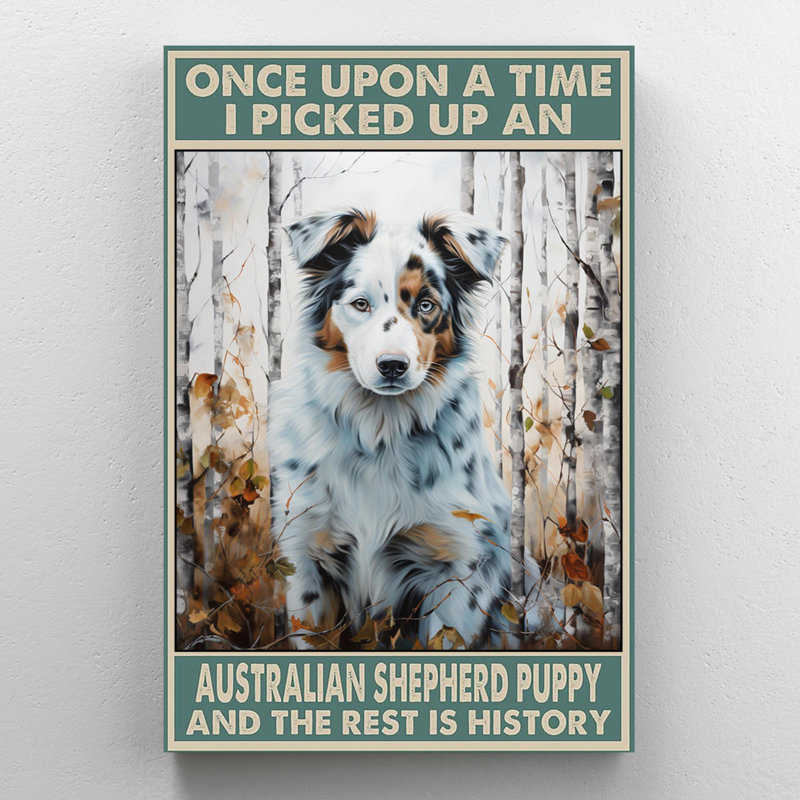 I Picked Up An Australian Shepherd, H 36 po x l 24 po x P 1,25 po