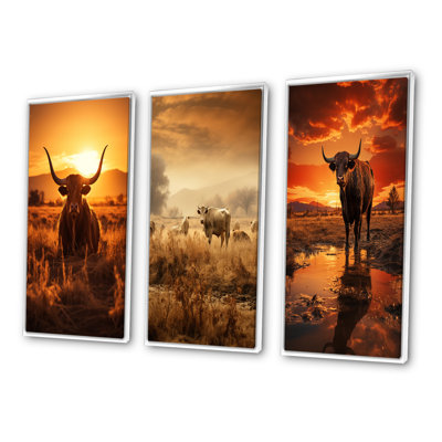 " Cattle Silhouette Serenade " 3 - Pieces
