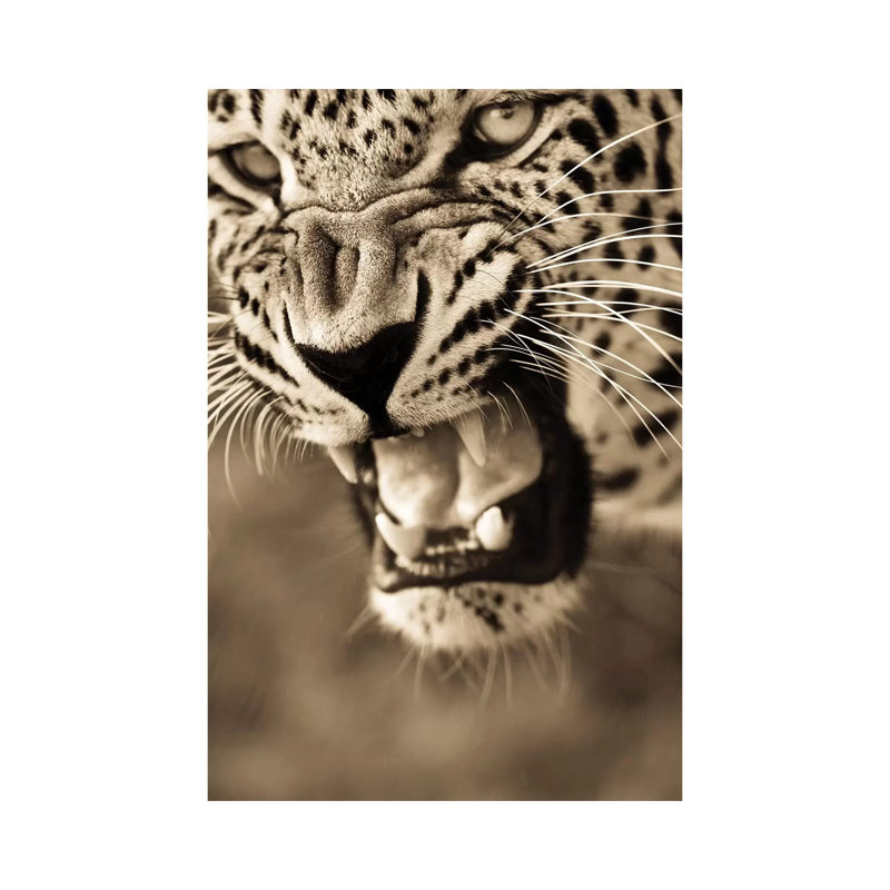 Leopard VIII by Goran Anastasovski - Wrapped Canvas Print, 20.32 cm H x 30.48 cm W