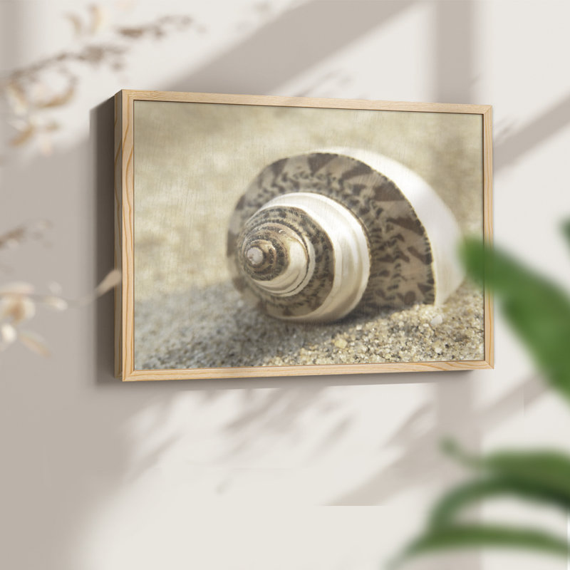 «Calming Shell II», reproduction encadrée, H 8 po x l 10 po, Naturel