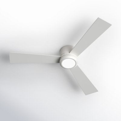 Rodrick Ceiling Fan with LED Light Kit