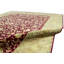 Oriental Area Rug