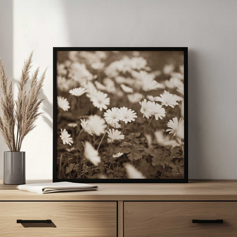 Wild Daisies par Deborah Revell, reproduction d'art, H 12 po x l 12 po, Or
