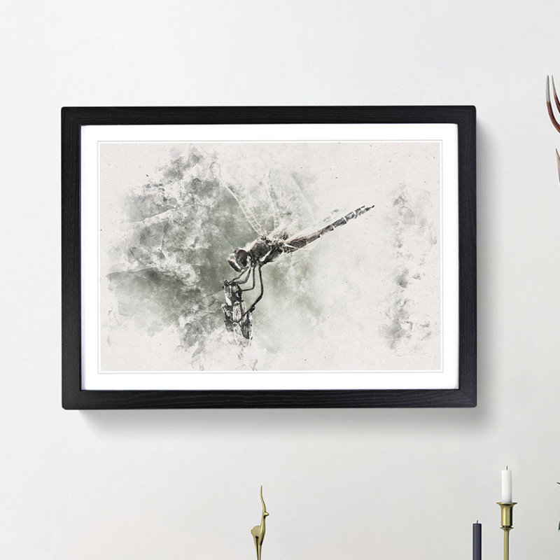 Perched Dragonfly - Framed Print, 24cm H x 33cm W x 2cm D, Black Framed