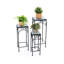 Plant Stand - Set of 3