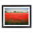 Black Framed selected