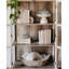 Modern Driftwood ColorPak