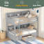 Twin Size Bunk Bed With Built-In Shelves Beside Both Upper And Down Bed-250095019