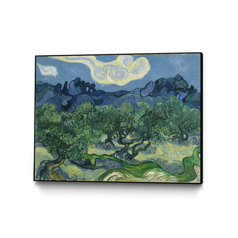 Olive Trees par Vincent Van Gogh - reproduction sur toile flottante, H 18 po x l 24 po