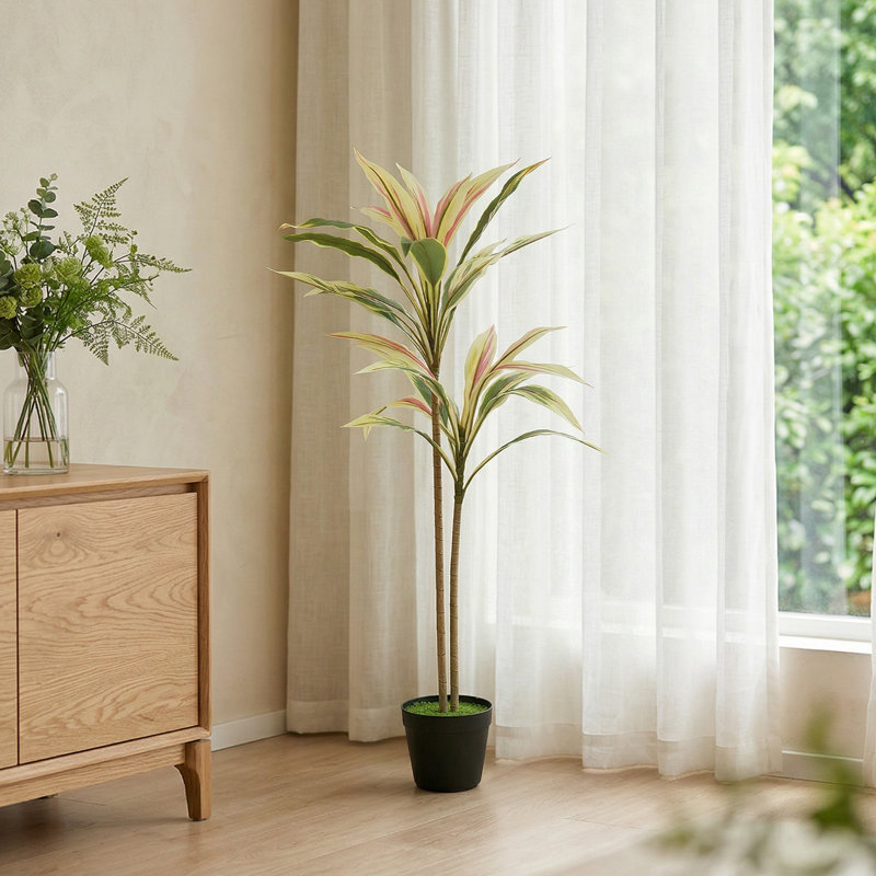 90cm Plant