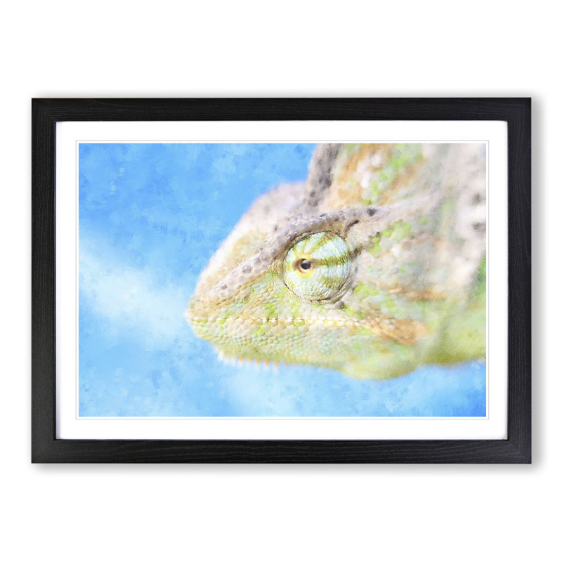 Chameleon Lizard Vol.4 - Framed Print, 48cm H x 65cm W x 2cm D, Black Framed