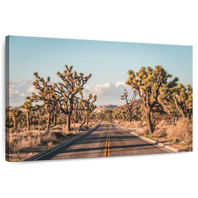 Mehar Cactus Road, 16" H x 24" W