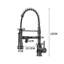Belfry Kitchen Lippencott Pull Down Kitchen Faucet-63771438