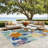 Megan 9' x 12' Blue Multicolor Tropical Rug-1886520312-1880375359