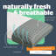 Silentnight Impress Anti-Bacterial Memory Foam Pillow