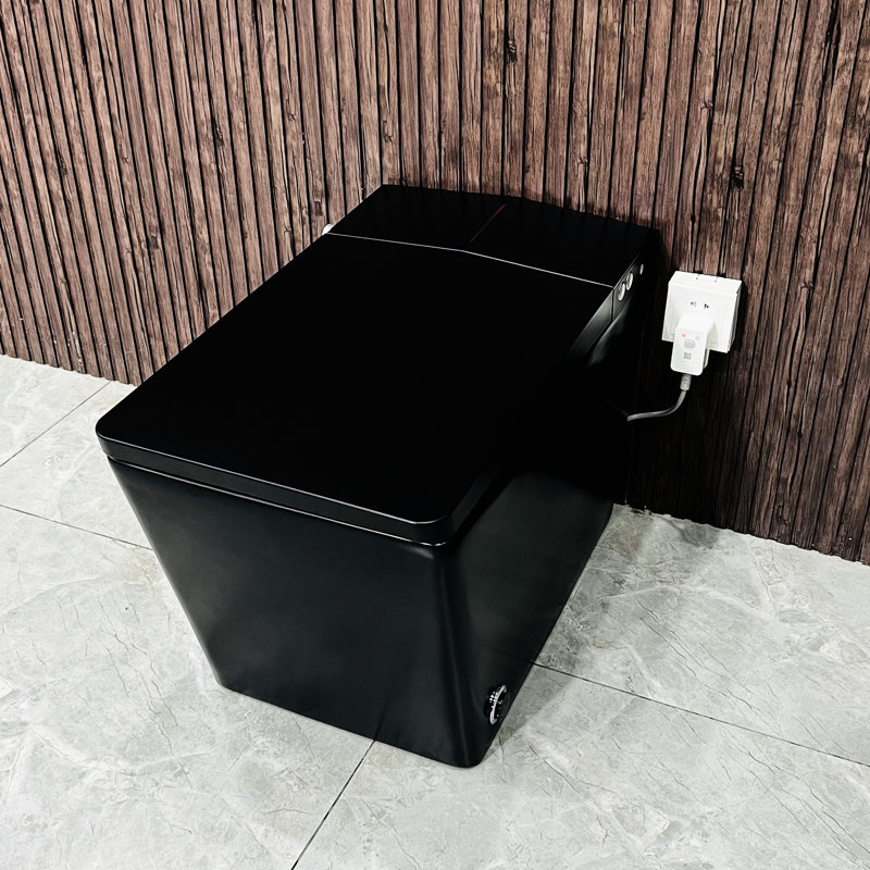 Black Square Smart Toilet With Built-In Tank, Auto Flush, Heated Seat, Remote Control, Led Display For Bathrooms Tank Bathroom, Display, Matte Consolidation