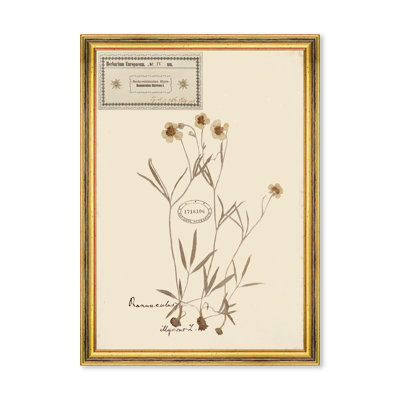 HERBARIUM ALPINIUM IV