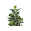 Arbre à caoutchouc artificiel Jack 52 po, feuilles vertes en soie avec pot noir