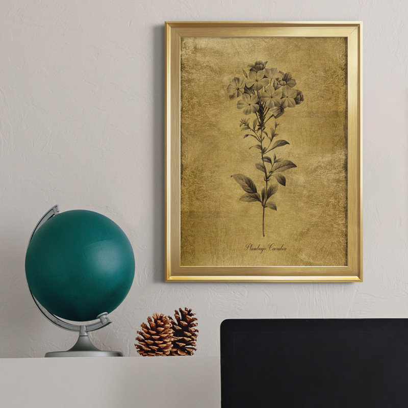 Ameelya " Gold Sketch Botanical II ", Gold, 30.5" H x 22.5" W x 1" D