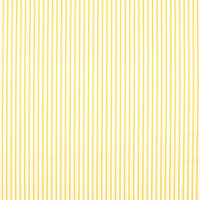 Ribbon Stripe Fabric