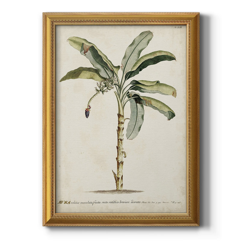 Toile encadrée Banana Palm II - prête à être accrochée, H 20 po x l 16 po x P 2,5 po