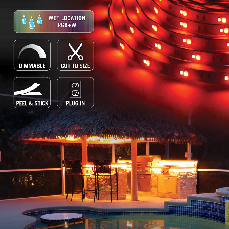 RibbonFlex Home 24V RGB+W Multicolor Indoor Outdoor LED Strip Light Kit