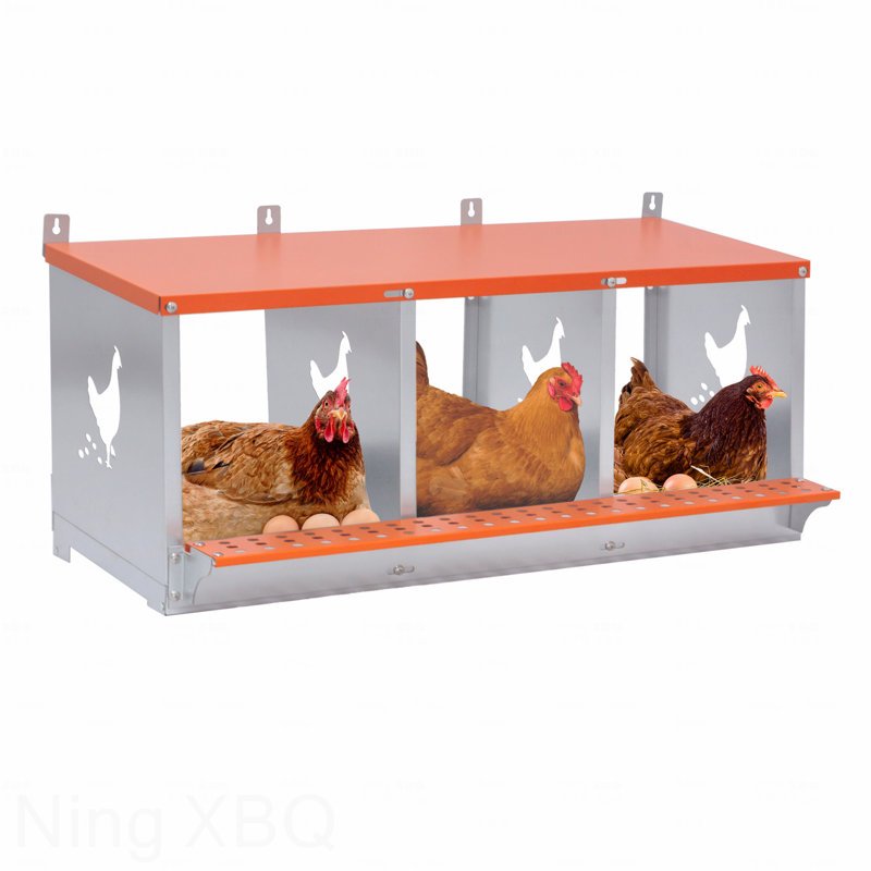 Boîte à nid en métal pour poules