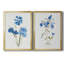 «Blue Blossom Botanical I», ensemble de 2 peintures sur toiles-596050416-596050417