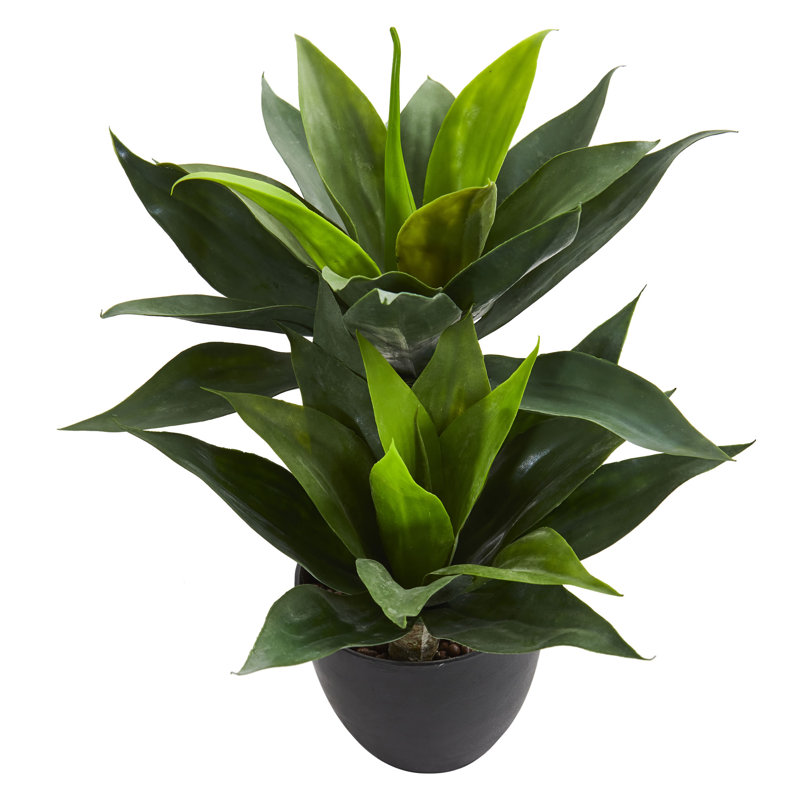 Plante agave artificielle en pot