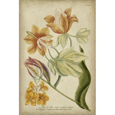 Weinmann Tropical Floral II - Painting